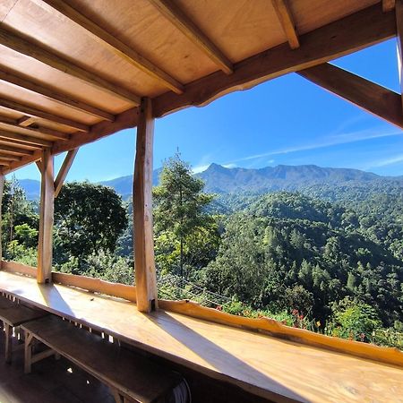 Maison Manendra - Bromo Malang Buitenkant foto
