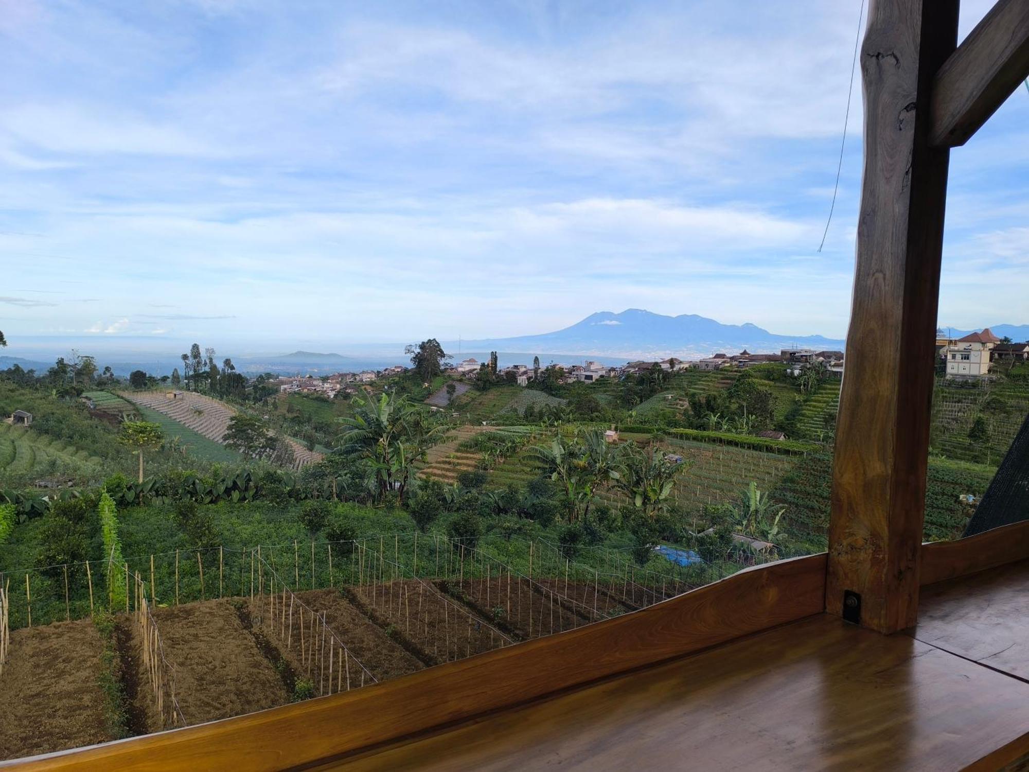 Maison Manendra - Bromo Malang Buitenkant foto